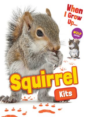cover image of Squirrel Kits